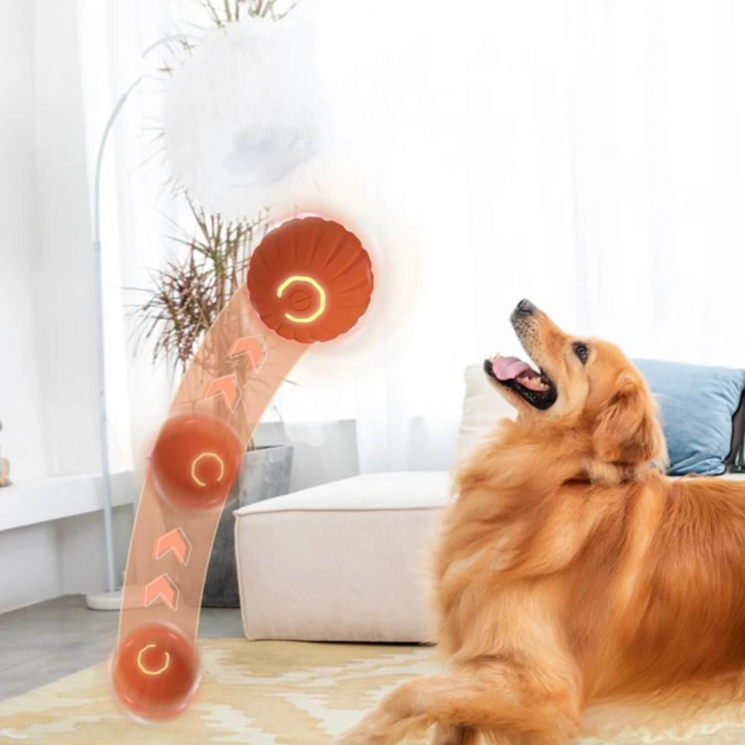 zwaartekracht springende hond bal golden retriever vangen